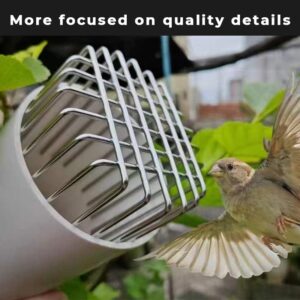 PANCA Anti-Rat Drain Cover